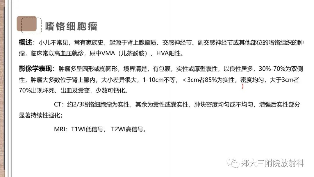 影像PPT - 【病例】神经母细胞瘤1例CT影像鉴别诊断-24