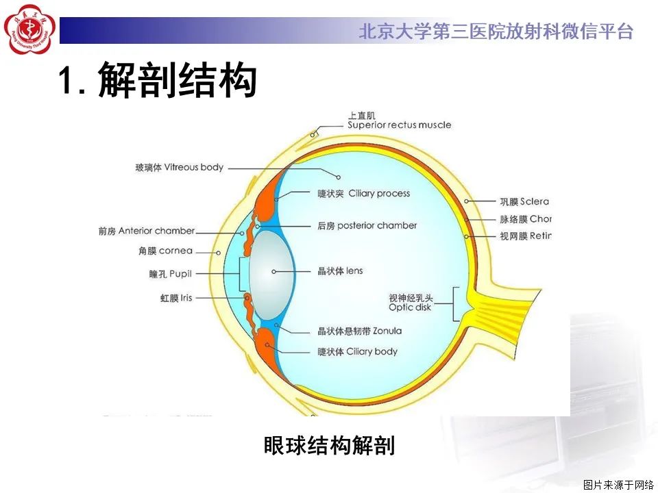 影像PPT - 【PPT】脉络膜黑色素瘤的影像-10