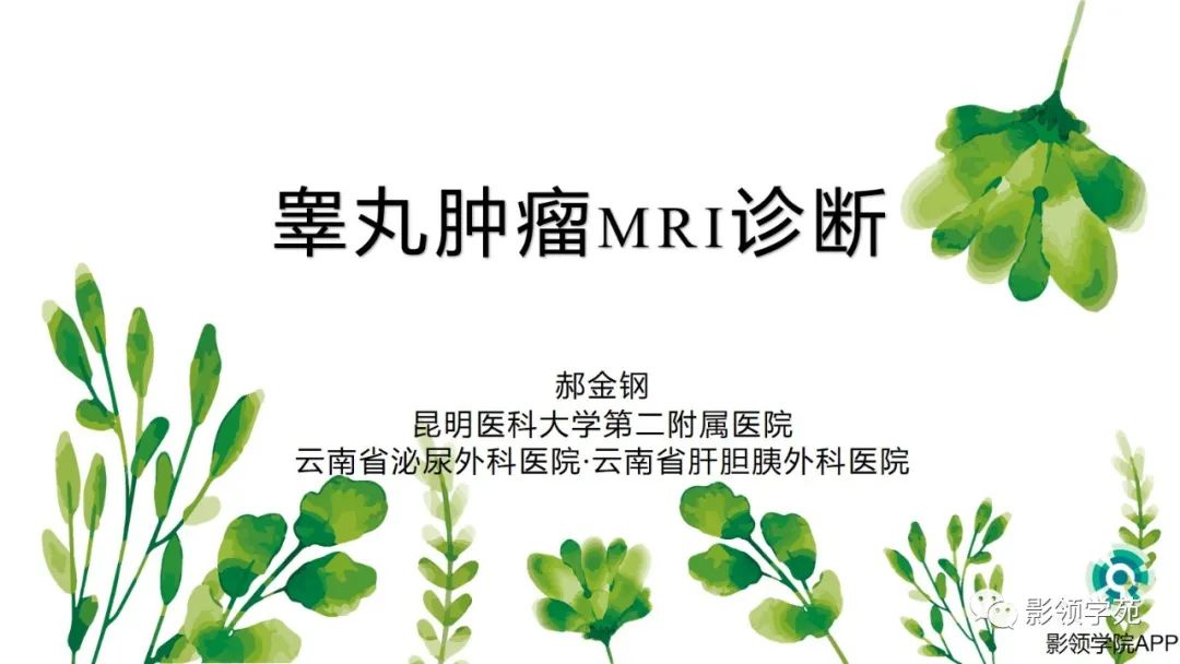 影像PPT - 【PPT】睾丸肿瘤MRI诊断-1
