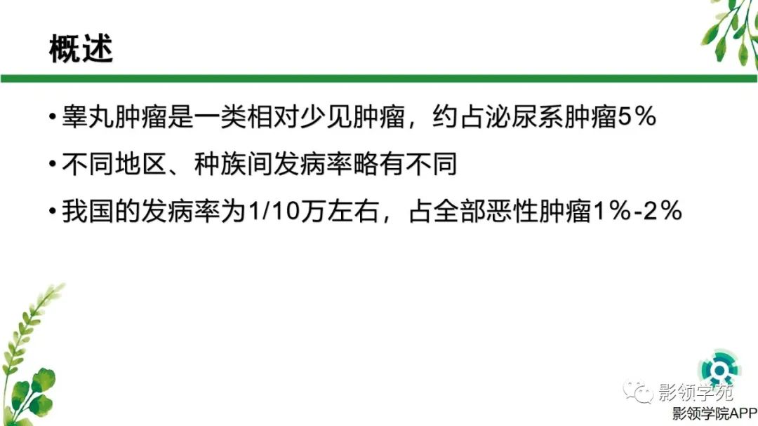 影像PPT - 【PPT】睾丸肿瘤MRI诊断-2