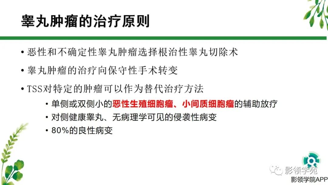 影像PPT - 【PPT】睾丸肿瘤MRI诊断-3
