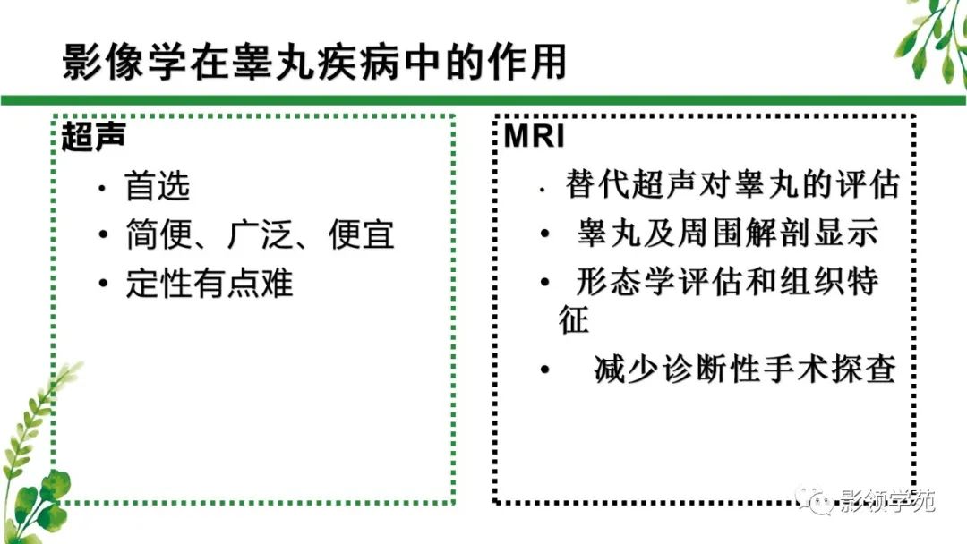 影像PPT - 【PPT】睾丸肿瘤MRI诊断-4