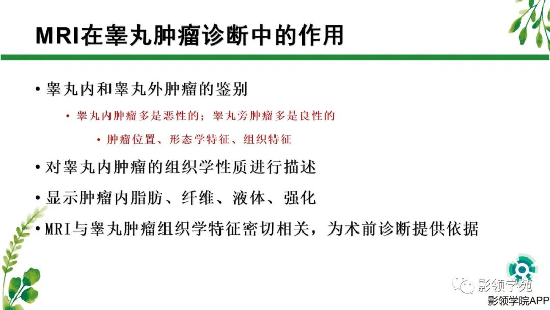 影像PPT - 【PPT】睾丸肿瘤MRI诊断-5