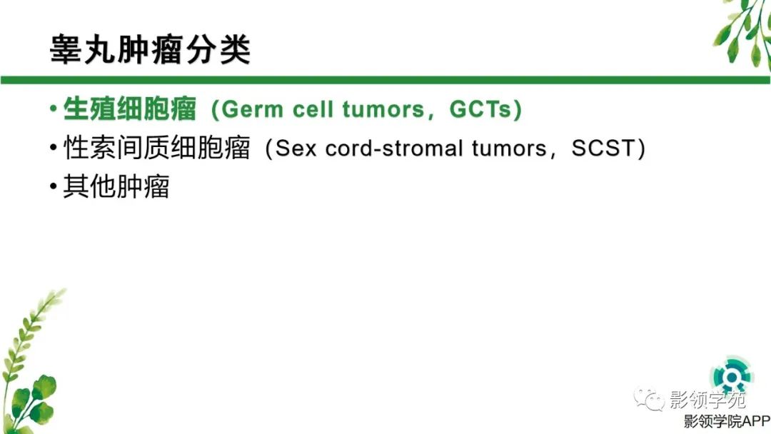 影像PPT - 【PPT】睾丸肿瘤MRI诊断-6
