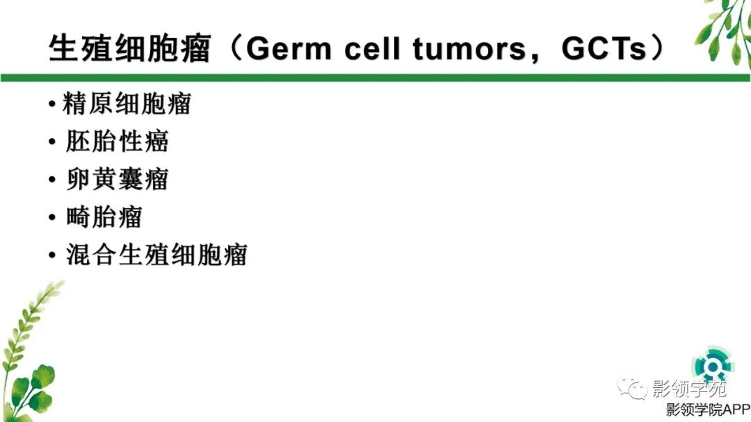 影像PPT - 【PPT】睾丸肿瘤MRI诊断-7