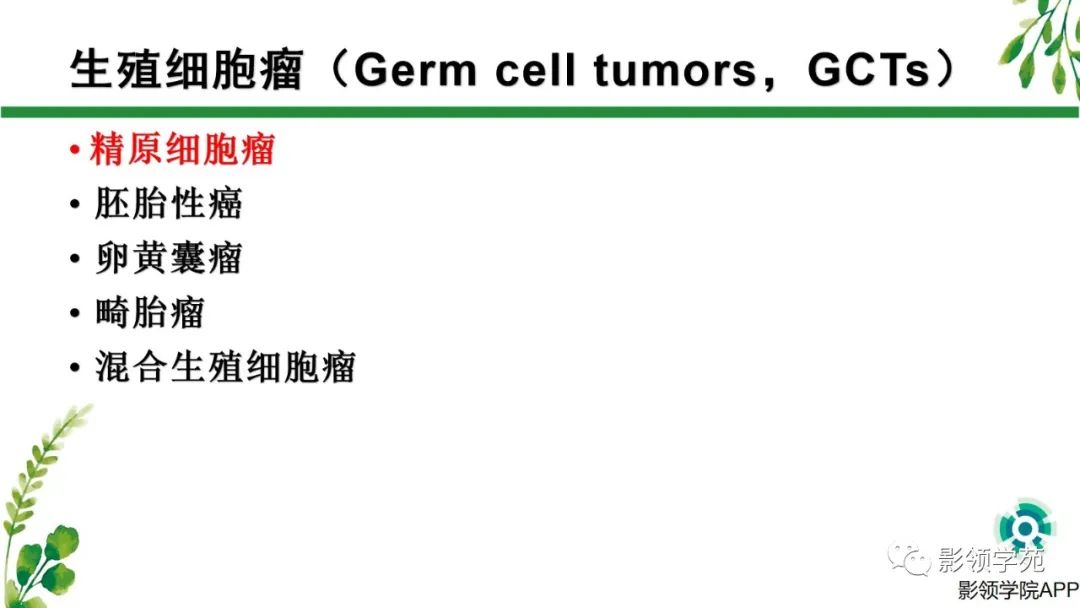 影像PPT - 【PPT】睾丸肿瘤MRI诊断-8