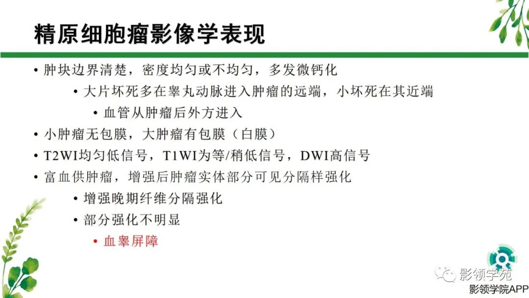 影像PPT - 【PPT】睾丸肿瘤MRI诊断-10