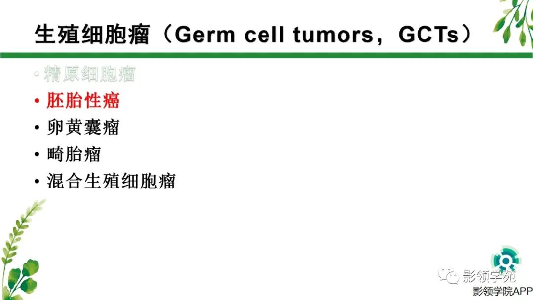 影像PPT - 【PPT】睾丸肿瘤MRI诊断-13