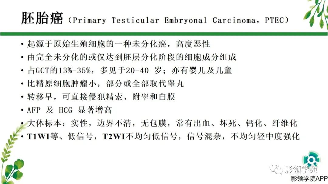 影像PPT - 【PPT】睾丸肿瘤MRI诊断-14