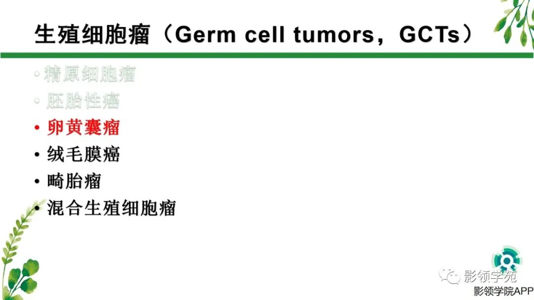 影像PPT - 【PPT】睾丸肿瘤MRI诊断-18