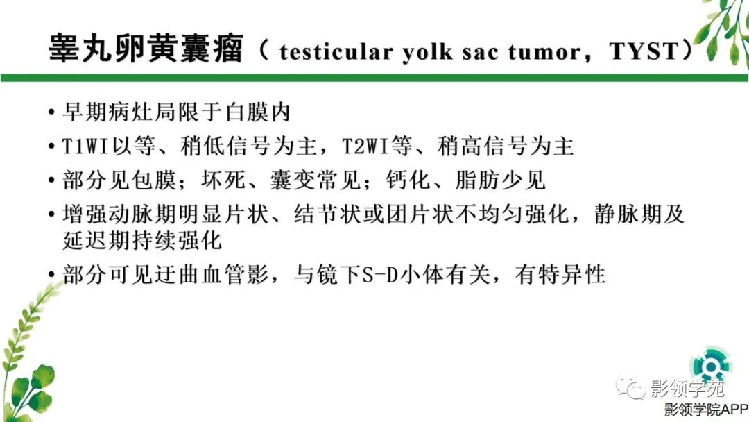 影像PPT - 【PPT】睾丸肿瘤MRI诊断-20