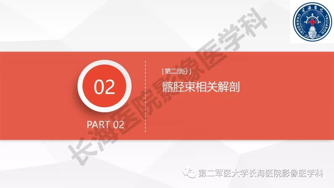 影像PPT - 【PPT】髂胫束摩擦综合症/髂胫束综合症-9
