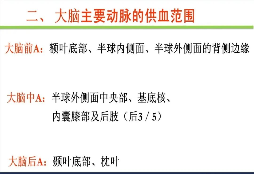影像PPT - 从梗死部位推测责任血管:脑血管解剖-7 影像PPT - 从梗死部位推测责任血管:脑血管解剖-7