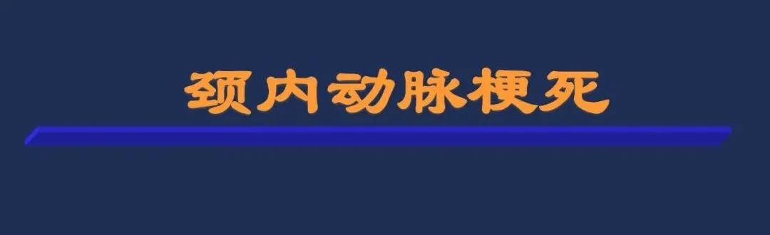 影像PPT - 从梗死部位推测责任血管:脑血管解剖-13 影像PPT - 从梗死部位推测责任血管:脑血管解剖-13