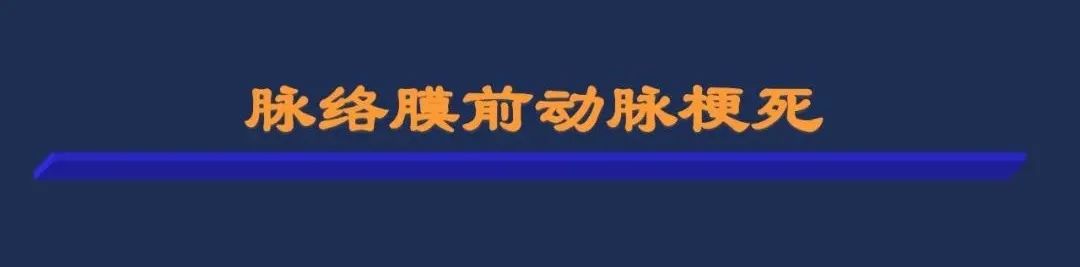 影像PPT - 从梗死部位推测责任血管:脑血管解剖-74 影像PPT - 从梗死部位推测责任血管:脑血管解剖-74