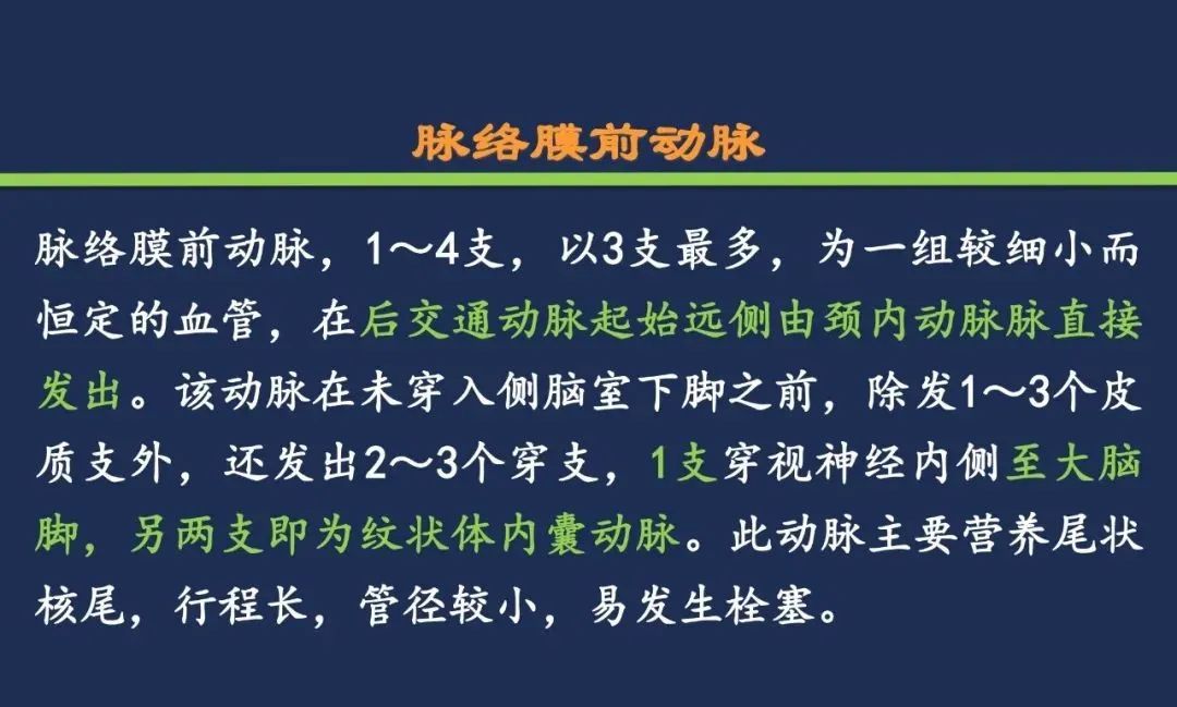影像PPT - 从梗死部位推测责任血管:脑血管解剖-75 影像PPT - 从梗死部位推测责任血管:脑血管解剖-75