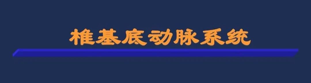 影像PPT - 从梗死部位推测责任血管:脑血管解剖-83 影像PPT - 从梗死部位推测责任血管:脑血管解剖-83