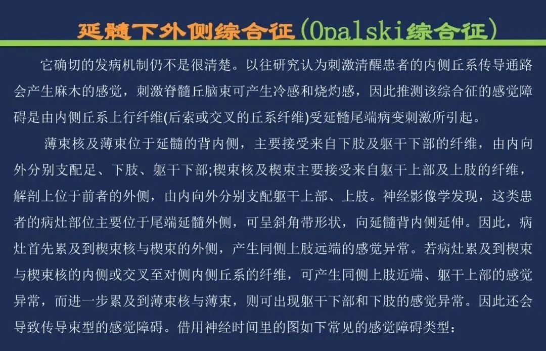 影像PPT - 从梗死部位推测责任血管:脑血管解剖-181 影像PPT - 从梗死部位推测责任血管:脑血管解剖-181