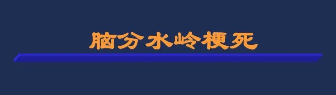 影像PPT - 从梗死部位推测责任血管:脑血管解剖-215 影像PPT - 从梗死部位推测责任血管:脑血管解剖-215