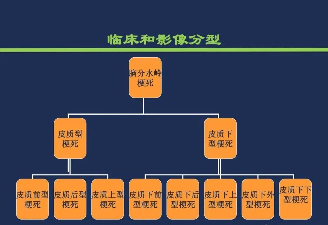 影像PPT - 从梗死部位推测责任血管:脑血管解剖-230 影像PPT - 从梗死部位推测责任血管:脑血管解剖-230
