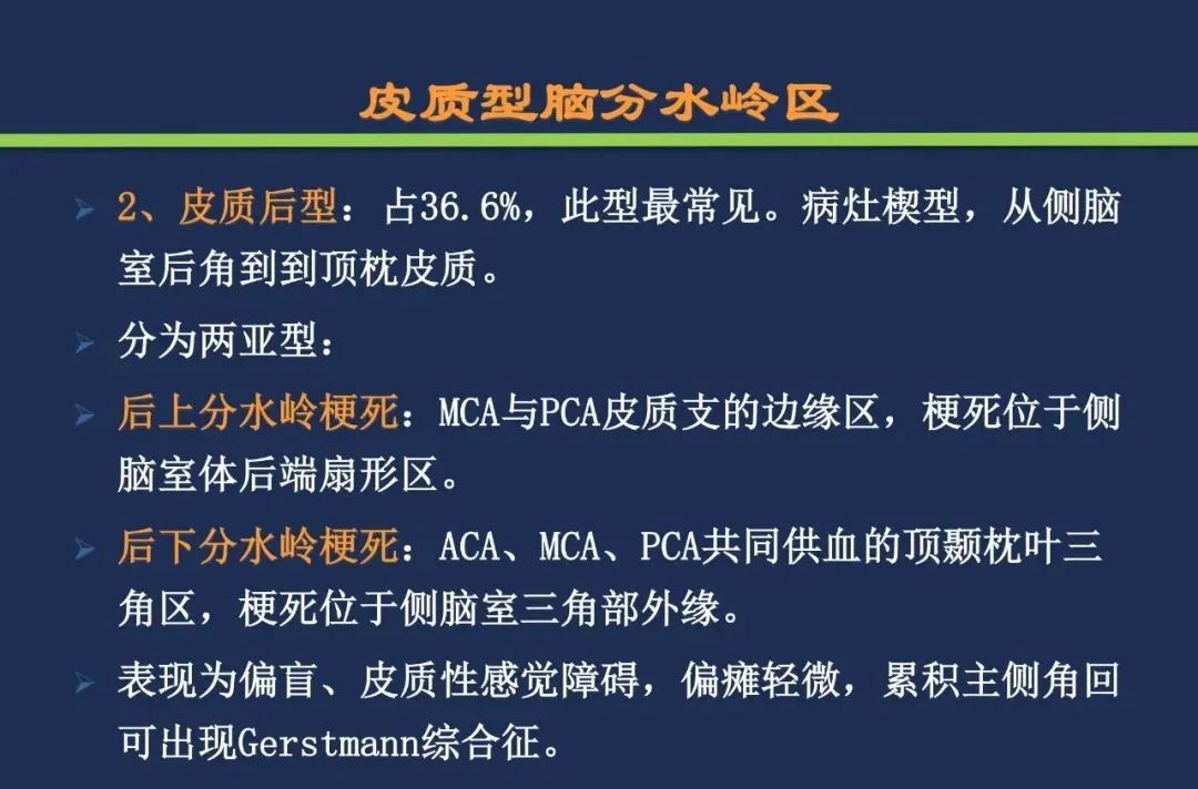 影像PPT - 从梗死部位推测责任血管:脑血管解剖-237 影像PPT - 从梗死部位推测责任血管:脑血管解剖-237