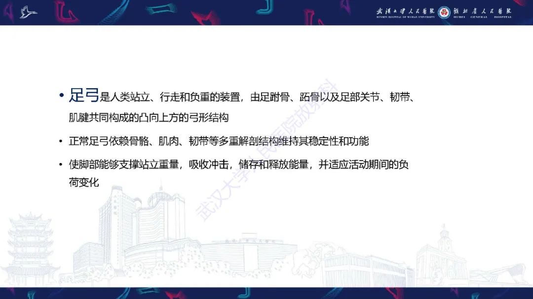 影像PPT - 【PPT】成人获得性扁平足畸形: 解剖学、生物力学、分期和影像学表现-5