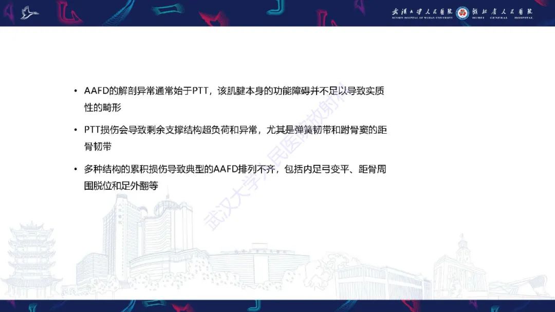 影像PPT - 【PPT】成人获得性扁平足畸形: 解剖学、生物力学、分期和影像学表现-14