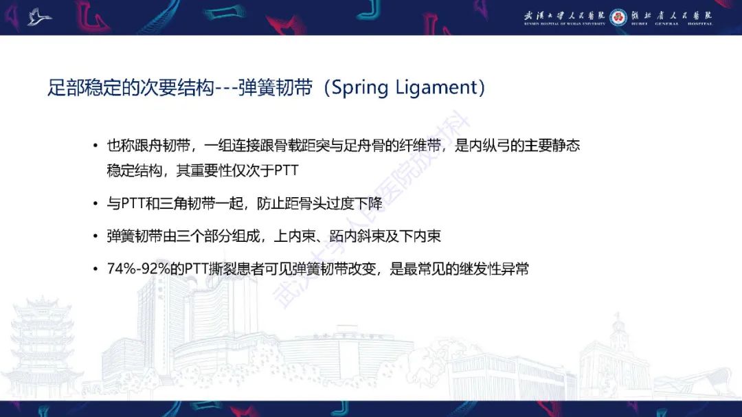 影像PPT - 【PPT】成人获得性扁平足畸形: 解剖学、生物力学、分期和影像学表现-24