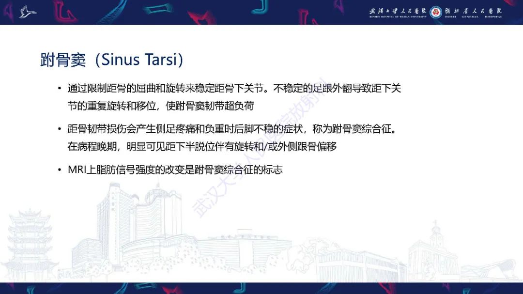 影像PPT - 【PPT】成人获得性扁平足畸形: 解剖学、生物力学、分期和影像学表现-28