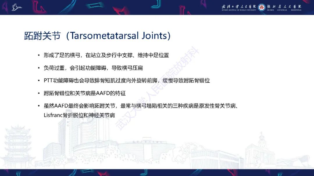 影像PPT - 【PPT】成人获得性扁平足畸形: 解剖学、生物力学、分期和影像学表现-36
