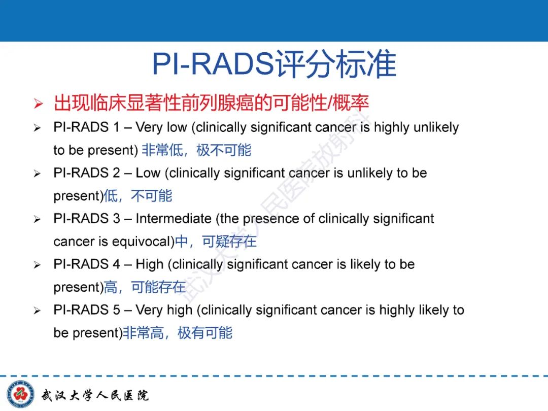 影像PPT - 【PPT】前列腺PI-RADS 2.1版本更新解读-18