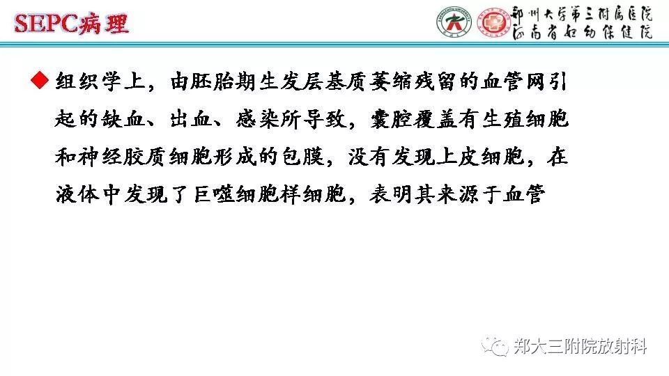 影像PPT - 【PPT】室周假性囊肿-12