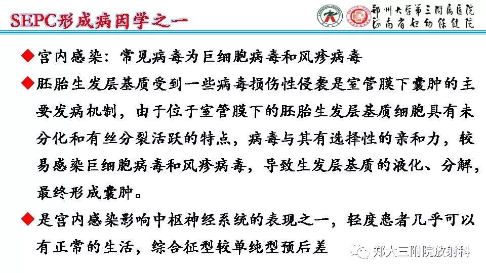 影像PPT - 【PPT】室周假性囊肿-13