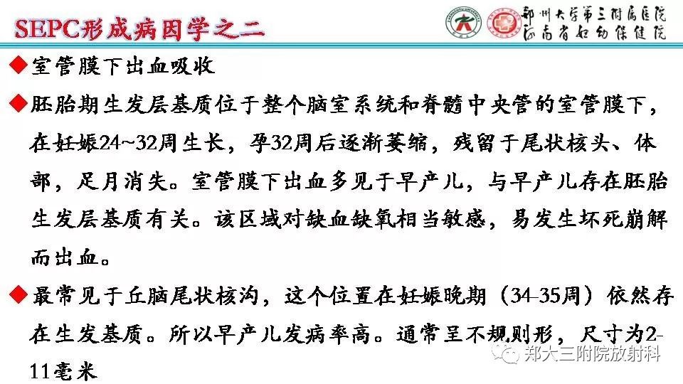 影像PPT - 【PPT】室周假性囊肿-14