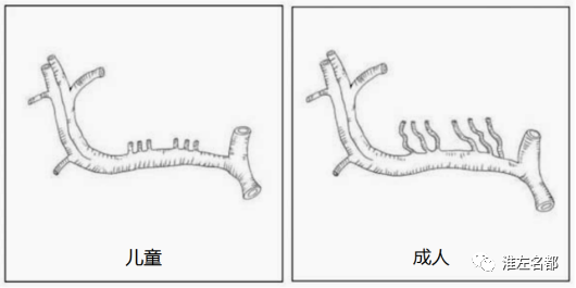 影像PPT - 【病例】婴儿外伤后基底节梗死1例CT及MR-5 影像PPT - 【病例】婴儿外伤后基底节梗死1例CT及MR-5