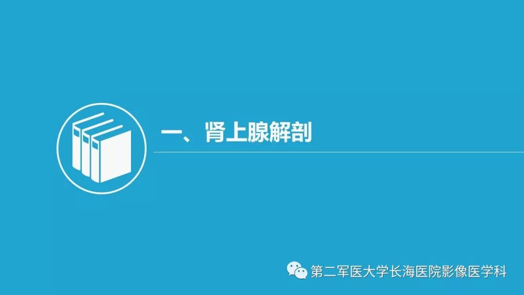 影像PPT - 【PPT】肾上腺肿物的分类及其影像学特点-4 影像PPT - 【PPT】肾上腺肿物的分类及其影像学特点-4