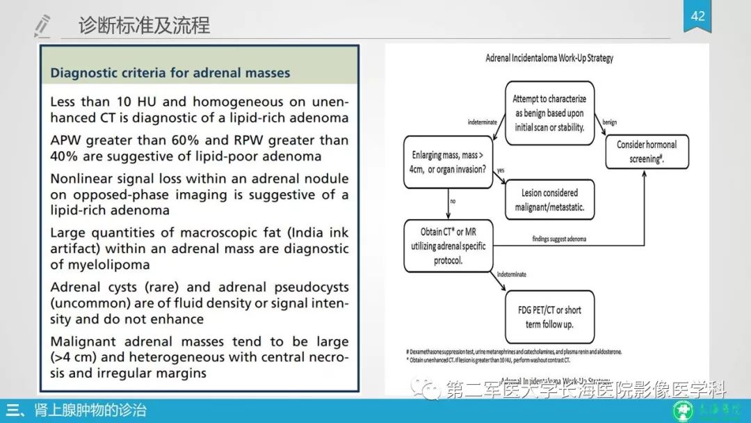 影像PPT - 【PPT】肾上腺肿物的分类及其影像学特点-42 影像PPT - 【PPT】肾上腺肿物的分类及其影像学特点-42