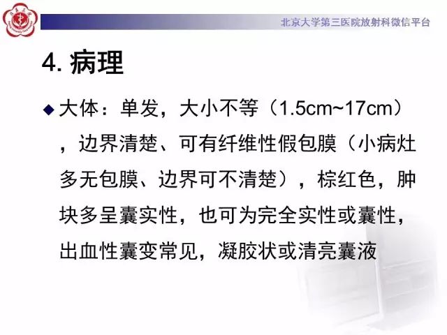 影像PPT - 【PPT】胰腺实性假乳头状肿瘤的影像-21