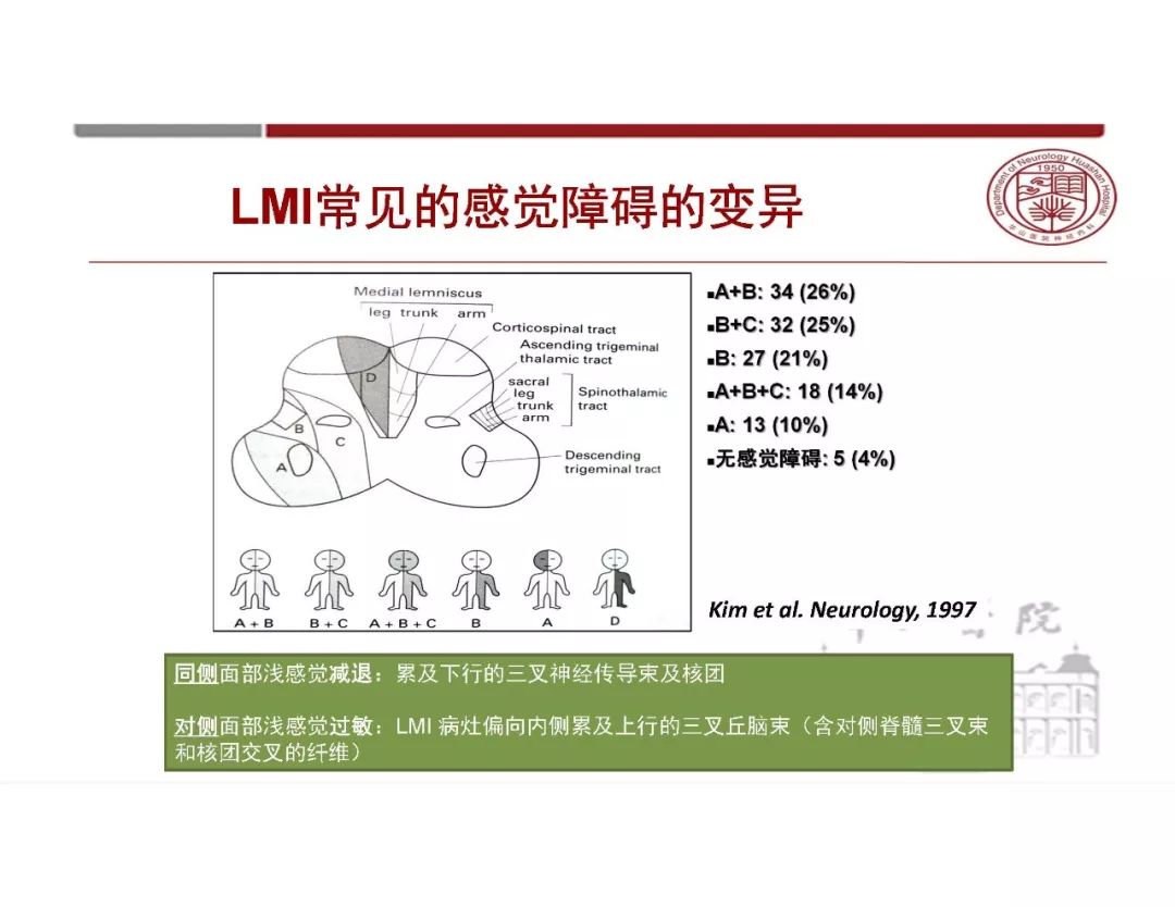 影像PPT - 【PPT】脑血管的解剖基础-34