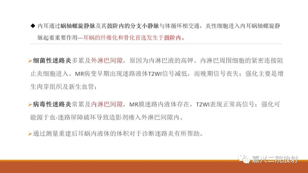 影像PPT - 【PPT】迷路炎的影像学诊断-10