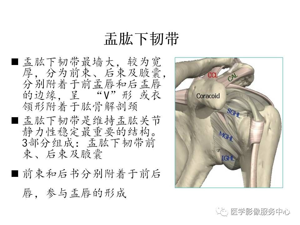 影像PPT - 【PPT】肩关节韧带及损伤的MR表现-68