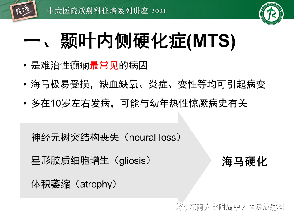 影像PPT - 【PPT】癫痫MR成像与常见疾病-12