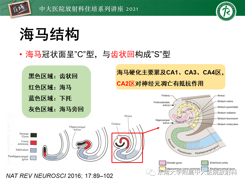 影像PPT - 【PPT】癫痫MR成像与常见疾病-15
