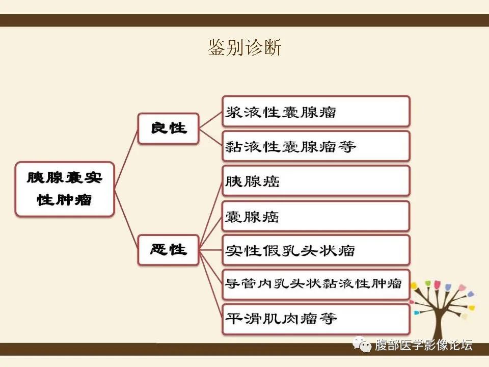 影像PPT - 【病例】胰腺平滑肌肉瘤1例CT影像诊断-27 影像PPT - 【病例】胰腺平滑肌肉瘤1例CT影像诊断-27