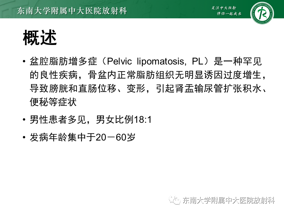影像PPT - 【病例】盆腔脂肪增多症1例CT影像-5