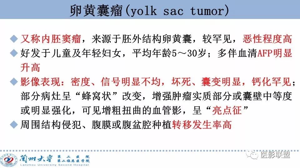 影像PPT - 【PPT】卵巢肿瘤MRI诊断-47