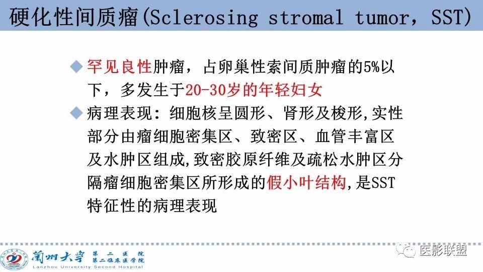 影像PPT - 【PPT】卵巢肿瘤MRI诊断-58