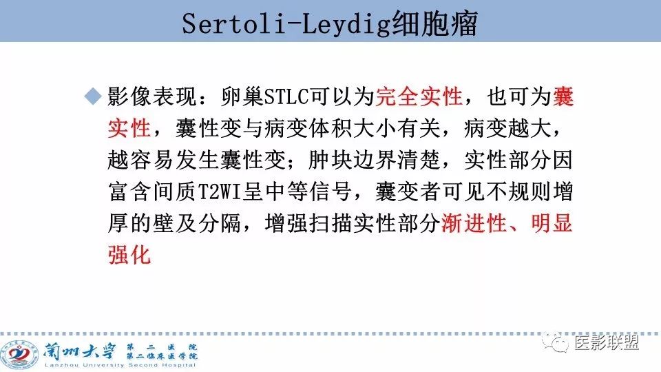 影像PPT - 【PPT】卵巢肿瘤MRI诊断-64