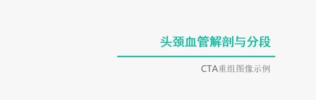 影像PPT - 【PPT】头颈血管解剖与分段—CTA重组图像示例-1