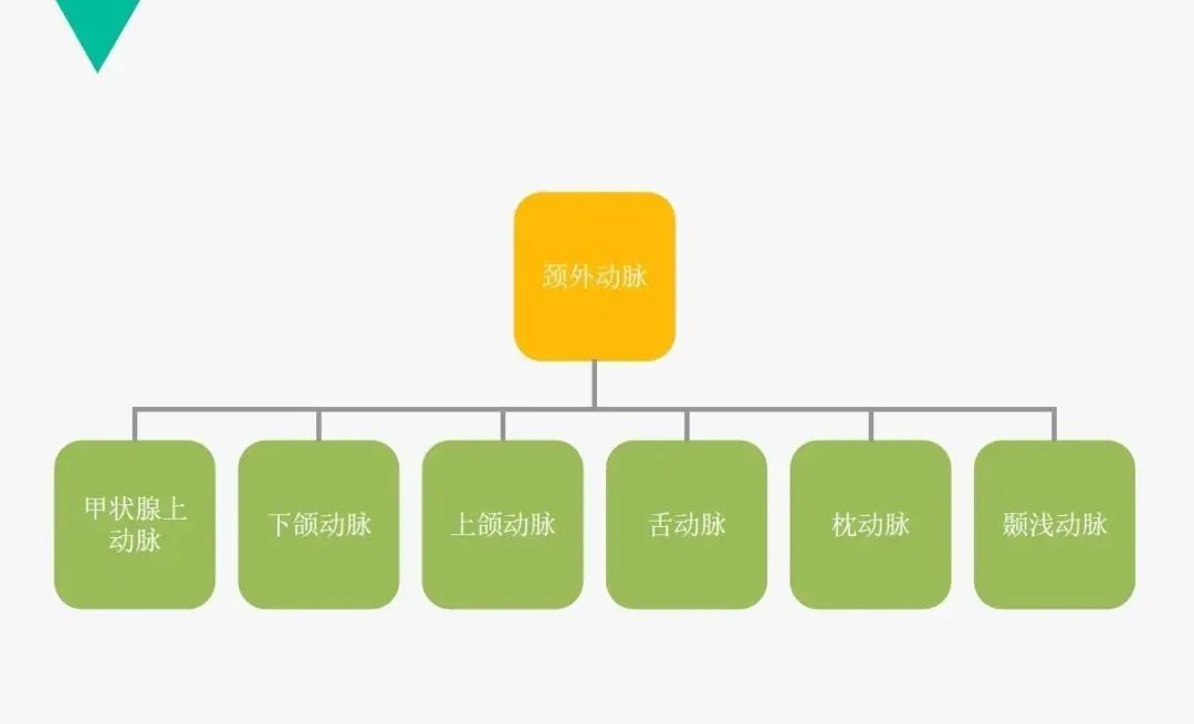 影像PPT - 【PPT】头颈血管解剖与分段—CTA重组图像示例-4